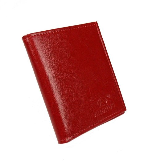 Etui Na Karty Dokumenty ANDRUS (PL) Małe 2 Wizytownik Pionowy Skóra Naturalna RIFD 10 x 9 [cm]