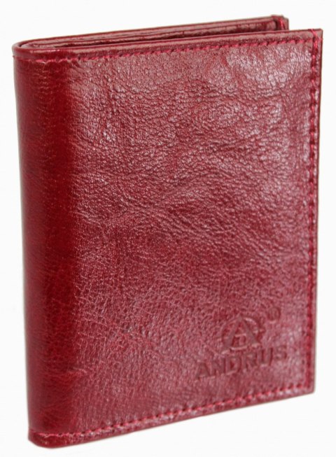 Etui Na Karty Dokumenty ANDRUS (PL) Małe 2 Wizytownik Pionowy Skóra Naturalna RIFD 10 x 9 [cm]