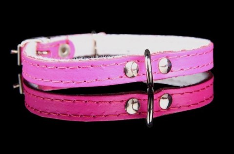 Obroża Dla Psa Ze Skóry Naturalnej ZOO LESZCZ (PL) 12 mm 27-33 [cm] ZL152