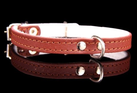 Obroża Dla Psa Ze Skóry Naturalnej ZOO LESZCZ (PL) 12 mm 27-33 [cm] ZL152