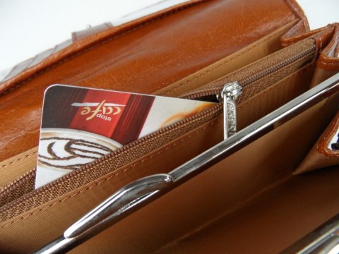 Portfel Damski ANDRUS (PL) Długi Max Klamra Skóra Naturalna Licowa RIFD 19,5 x 10 x 3,5 [cm]