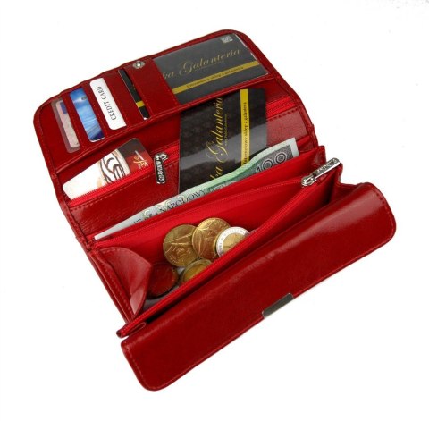 Portfel Damski ANDRUS (PL) Długi Suwak Płaski Skóra Naturalna RIFD 16,5 x 9,5 x 3,5 [cm]