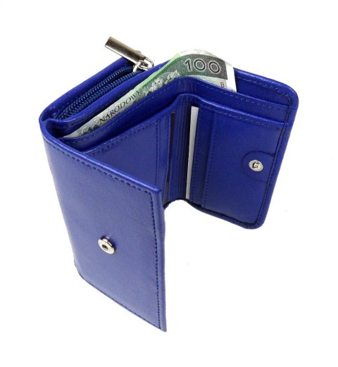 Portfel Damski Skórzany ANDRUS (PL) Skóra Licowa Suwak RIFD 12 x 9 x 3 [cm]