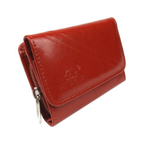 Portfel Damski Skórzany ANDRUS (PL) Skóra Licowa Suwak RIFD 12 x 9 x 3 [cm]