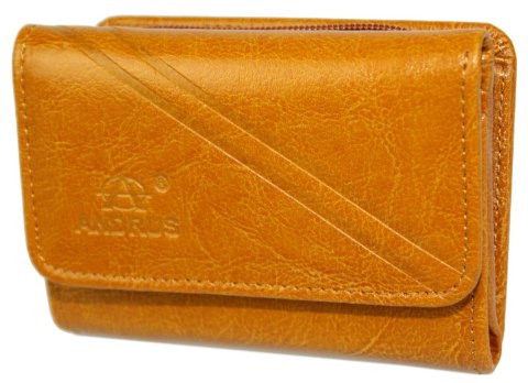 Portfel Damski Skórzany ANDRUS (PL) Skóra Licowa Suwak RIFD 12 x 9 x 3 [cm]