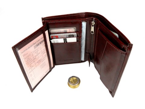 Portfel Męski ANDRUS (PL) Skóra Licowa Pionowy Bez Zapięcia Jedno Skrzydełko Kieszeń Na Bilon RIFD 13 x 10 x 2,5 [cm]