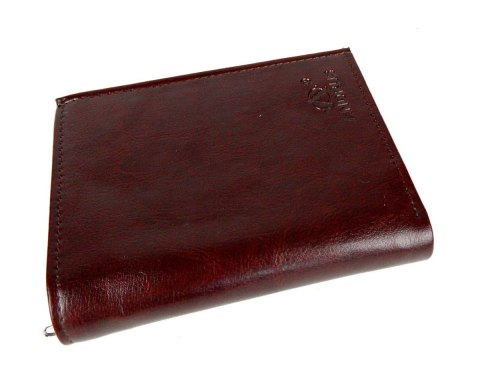 Portfel Męski ANDRUS (PL) Skóra Włoska Duży Pionowy Bez Zapięcia Jedno Skrzydełko 13 x 10 x 2,5 [cm]