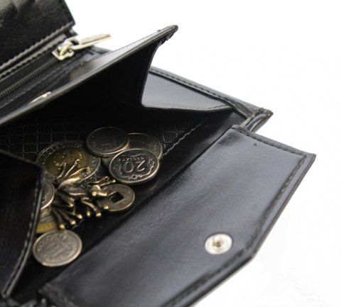 Portfel Męski ANDRUS (PL) Skóra Włoska Duży Pionowy Bez Zapięcia Jedno Skrzydełko 13 x 10 x 2,5 [cm]