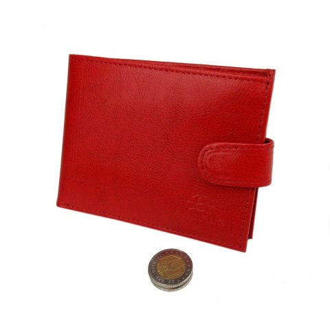 Portfel Męski Skórzany ANDRUS (PL) Skóra Licowa Duży Poziomy Z Zapięciem Jedno Skrzydełko Do Góry RIFD 13 x 10 x 2,5 [cm]