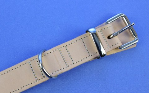 Solidna Obroża Dla Psa Jucht Skóra Naturalna 35 mm 50-63 [cm] WIREX (PL)