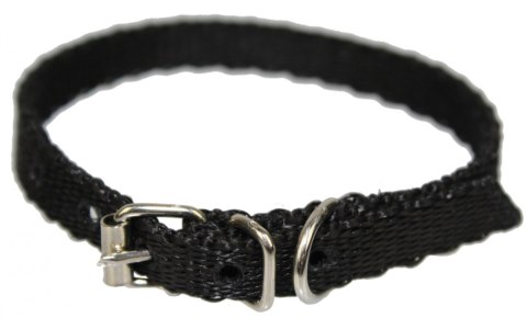 Solidna Obroża Dla Psa Taśma ZOO LESZCZ (PL) 10 mm 23-28 [cm] ZL063