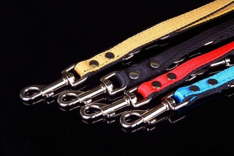 Solidna Regulowana Smycz Z Materiału Taśma Dla Psa ZOO LESZCZ (PL) 25 mm 120-220 [cm] ZL027/1