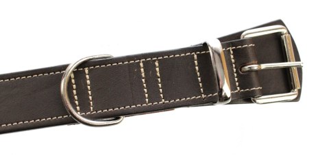 Solidna Obroża Dla Psa Czekoladowa z Beżową Nitką Skóra Naturalna 35 mm 54-66 [cm] WIREX (PL)