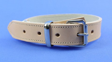 Solidna Obroża Dla Psa Jucht Skóra Naturalna 35 mm 44-54 [cm] WIREX (PL)