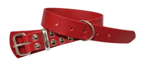 Solidna Obroża Dla Psa Czerwona Skóra Naturalna 25 mm 28/38 [cm] WIREX (PL)