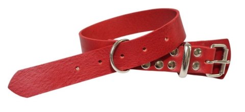 Solidna Obroża Dla Psa Czerwona Skóra Naturalna 25 mm 28/38 [cm] WIREX (PL)