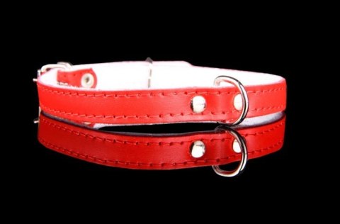 Solidna Obroża Dla Psa Skóra Naturalna 34  / 43 cm ZL0154 ZOO LESZCZ (PL)