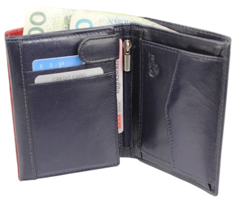 Elegancki Portfel Męski Skórzany ROVICKY (PL) Skóra Licowa Duży Pionowy Bez Zapięcia RFID 326-RBA-D