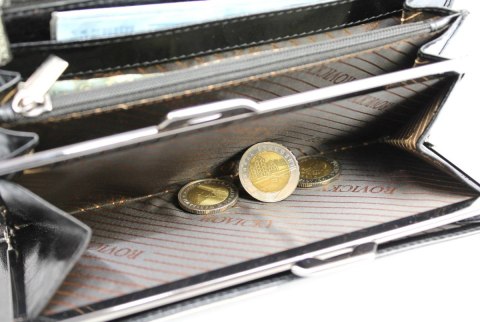 Portfel Damski ROVICKY Długi Z Klamrą Skóra Naturalna Licowa CPR 015 19 x 9 x 3,5 [cm]