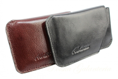 Wizytownik Wsuwany Etui Na Dokumenty I Karty ALBATROSS Skóra Naturalna EXTRA A-3790 Wizytownik Wsuwany Etui Na Dokumenty I Karty ALBATROSS Skóra Naturalna EXTRA A-3790