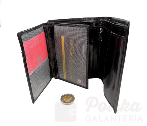 Portfel Męski Skórzany PIERRE CARDIN Skóra Licowa Duży Pionowy Bez Zapięcia Gładki Z Połyskiem 326 Portfel Męski Skórzany PIERRE CARDIN Skóra Licowa Duży Pionowy Bez Zapięcia Gładki Z Połyskiem 326
