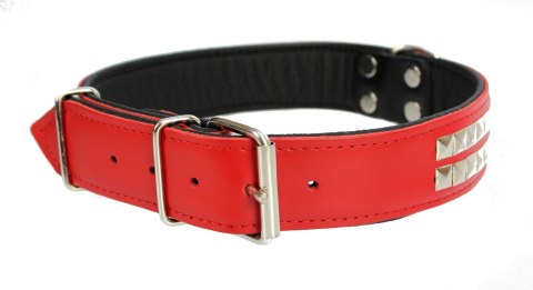 Solidna Obroża Dla Psa Skóra Naturalna Z Kostkami 40 mm / 75 cm ZL0184/A ZOO LESZCZ (PL) Solidna Obroża Dla Psa Skóra Naturalna Z Kostkami 40 mm / 75 cm ZL0184/A ZOO LESZCZ (PL)