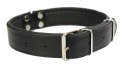Solidna Obroża Dla Psa Skóra Naturalna 40 mm / 65 cm ZL0904 ZOO LESZCZ (PL)