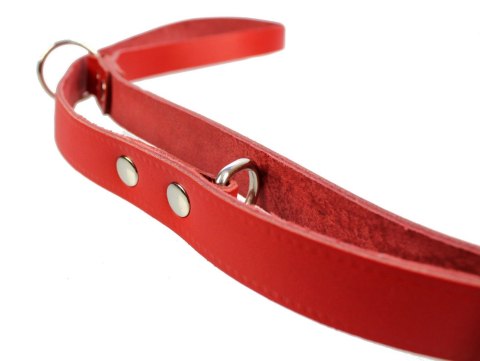 Solidna Skórzana Smycz Dla Psa Taśma 16 mm ZL0132 ZOOLESZCZ (PL) Solidna Skórzana Smycz Dla Psa Taśma 16 mm ZL0132 ZOOLESZCZ (PL)