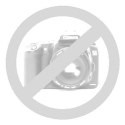 Pasek Damski Skórzany MASSIMO (PL) Skóra Licowa EXTRA Gładki 25 mm PUDROWY RÓŻ
