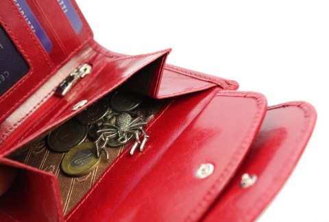 Portfel Damski Skórzany Cefirutti Skóra Licowa Duży Z Zapięciem 70614-9-RF-AB RFID Portfel Damski Skórzany Cefirutti Skóra Licowa Duży Z Zapięciem 70614-9-RF-AB RFID
