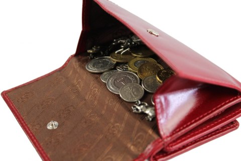 Portfel Damski Skórzany Z Wkładką Antybakteryjną Cefirutti Skóra Licowa 12 cm Kieszeń Na Zewnątrz RFID 77076 RF-AB Portfel Damski Skórzany Z Wkładką Antybakteryjną Cefirutti Skóra Licowa 12 cm Kieszeń Na Zewnątrz RFID 77076 RF-AB