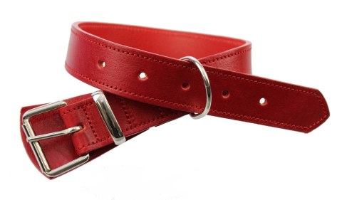 Solidna Obroża Dla Psa Czerwona z Czerwoną Nitką Skóra Naturalna 35 mm / 77 cm WIREX (PL) Solidna Obroża Dla Psa Czerwona z Czerwoną Nitką Skóra Naturalna 35 mm / 77 cm WIREX (PL)
