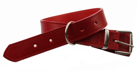 Solidna Obroża Dla Psa Czerwona z Czerwoną Nitką Skóra Naturalna 35 mm / 77 cm WIREX (PL) Solidna Obroża Dla Psa Czerwona z Czerwoną Nitką Skóra Naturalna 35 mm / 77 cm WIREX (PL)