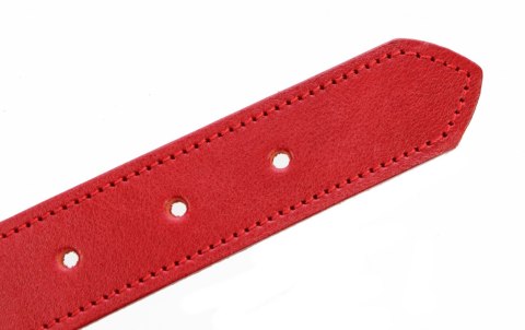 Solidna Obroża Dla Psa Czerwona z Czerwoną Nitką Skóra Naturalna 35 mm / 77 cm WIREX (PL) Solidna Obroża Dla Psa Czerwona z Czerwoną Nitką Skóra Naturalna 35 mm / 77 cm WIREX (PL)