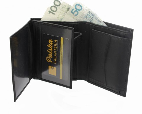 Portfel Męski Skórzany SARA (PL) Skóra Licowa CIELĘCA Duży Pionowy Bez Zapięcia I Z Zapięciem Wewnątrz Dwa Skrzydełka SAR_P10 Portfel Męski Skórzany SARA (PL) Skóra Licowa CIELĘCA Duży Pionowy Bez Zapięcia I Z Zapięciem Wewnątrz Dwa Skrzydełka SAR_P10